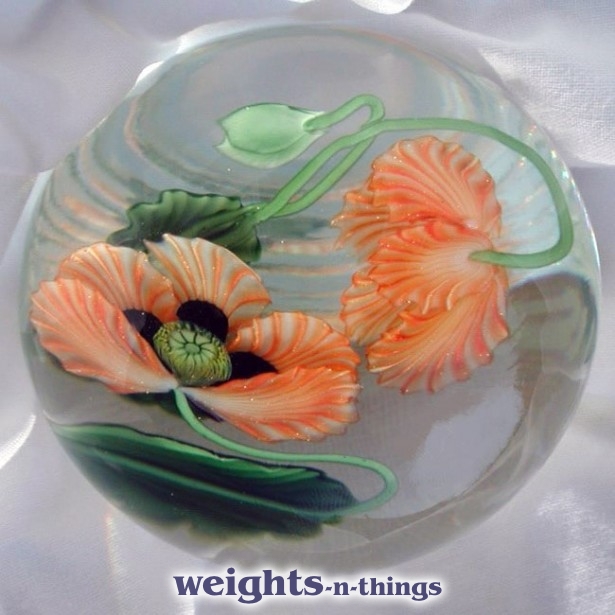 Orange Poppies on Clear (2004)